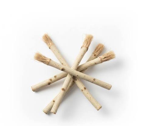 do miswak sticks whiten teeth